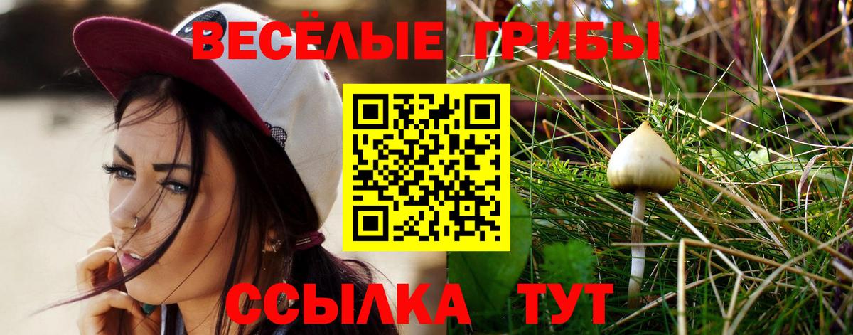Псилоцибиновые грибы прущие грибы Тула