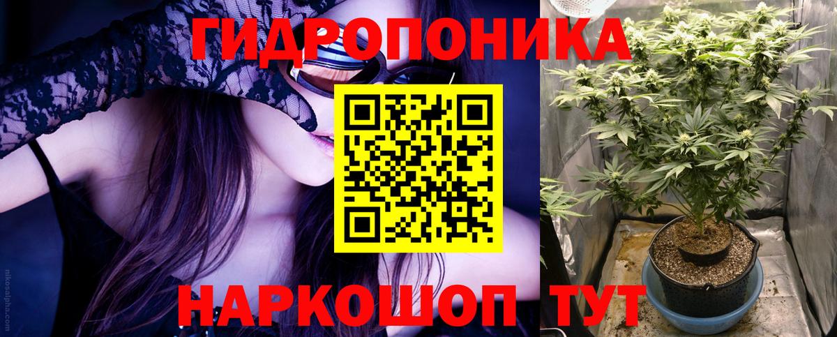Марихуана OG Kush  Канабис сатива  МАРИХУАНА гибрид  Вход с VPN  Тула 